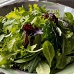 Salad Leaves