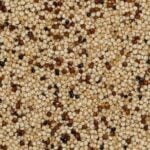 Quinoa
