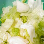 Iceberg Lettuce